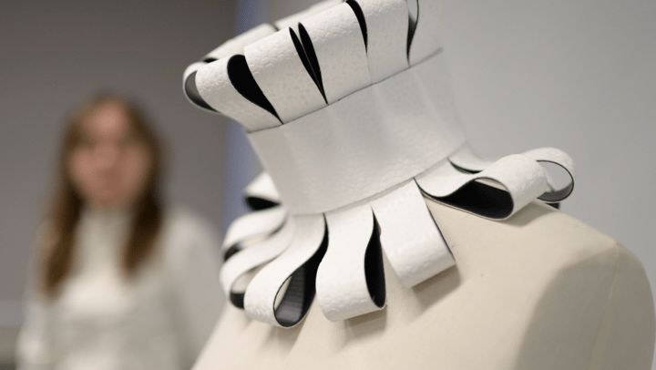 Protan&SchoolOfForm5-1